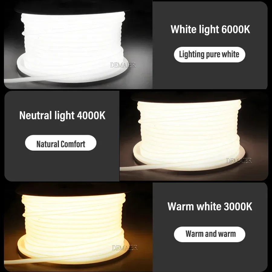 1M-50M Dimmable COB LED Strip - Image 4